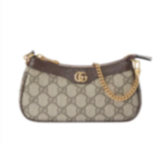 Gucc1 Mini Bag 3